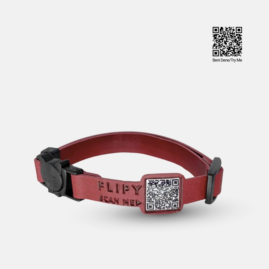 FLİPY QR KODLU KEDİ BOYUN TASMASI*5